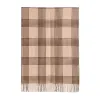 The winter thickened 2025 new style of Checkered children's versatile tassel fashionable and warm scarf is a comfortable faux cashmere scarf Item Picture